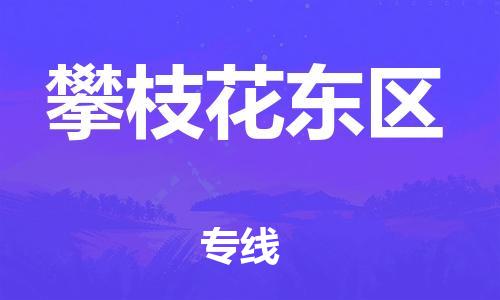 邯鄲到攀枝花東區(qū)貨運(yùn)公司-物流專線丟損必賠「全境直達(dá)」