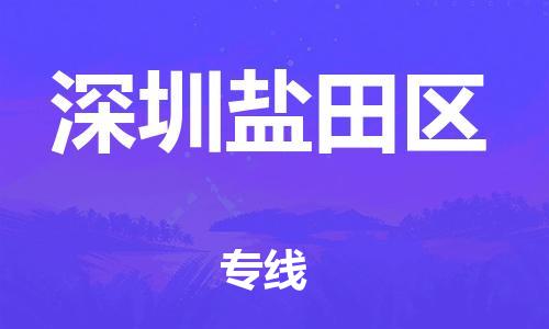 邯鄲到深圳鹽田區(qū)物流公司-電商貨物運輸專線-時間準(zhǔn)時
