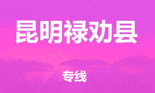 邯鄲到昆明祿勸縣物流專線-物流專線快速直達(dá)-快速準(zhǔn)時